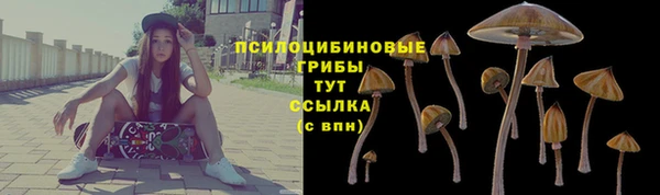 молекула духа Нефтекумск