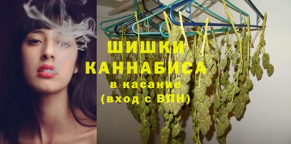 ECSTASY Вяземский