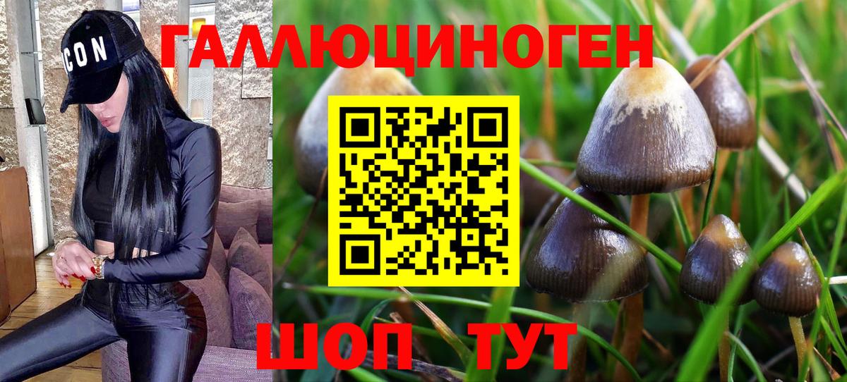 Псилоцибиновые грибы прущие грибы  Псилоцибиновые грибы ЛСД  Карабулак 