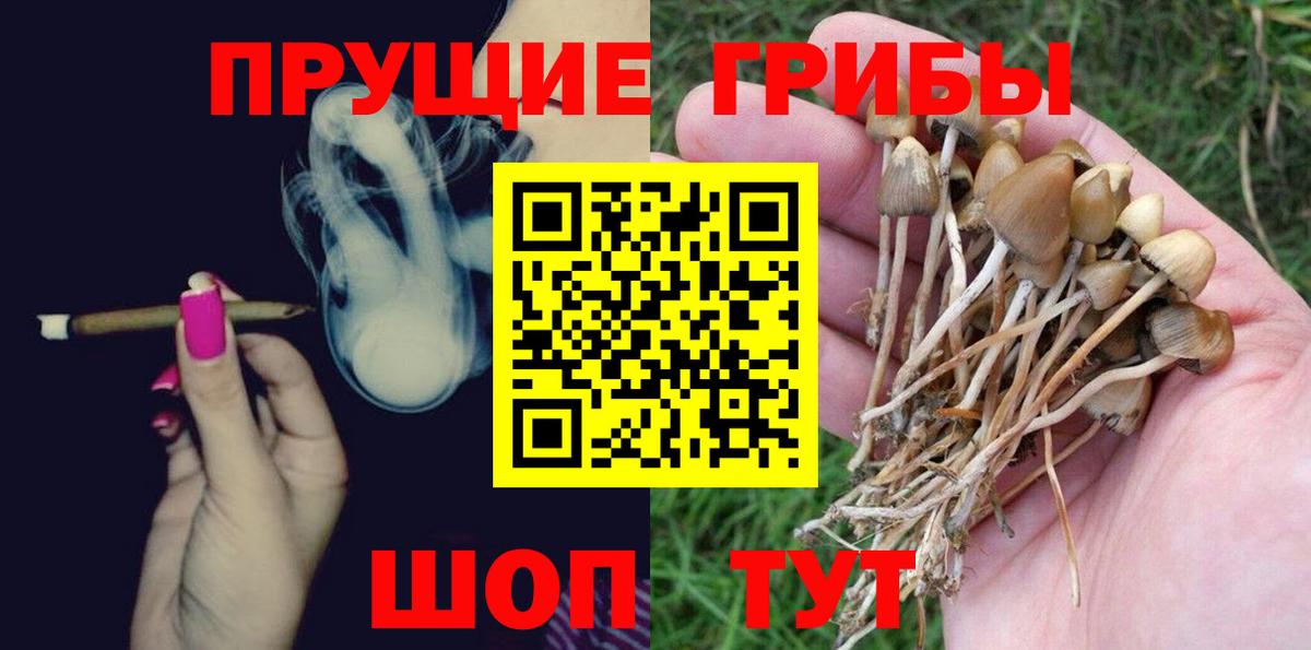 Галлюциногенные грибы ЛСД Карабулак